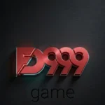 FD999 game logo
