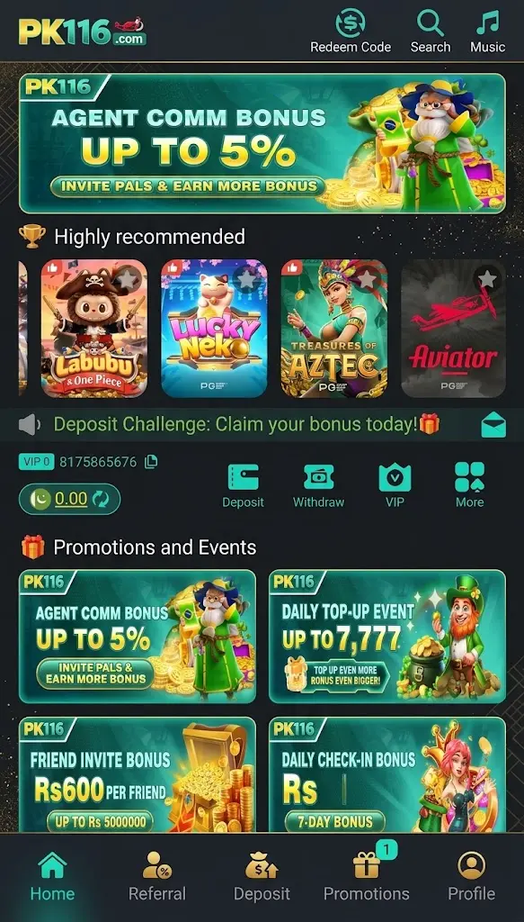 PK116 game image