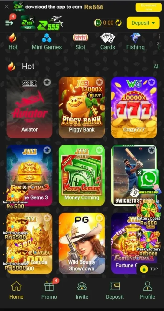 z555 game interface